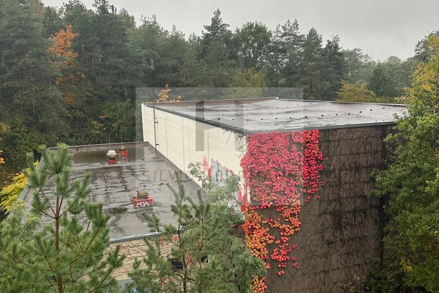 Dach Sporthalle