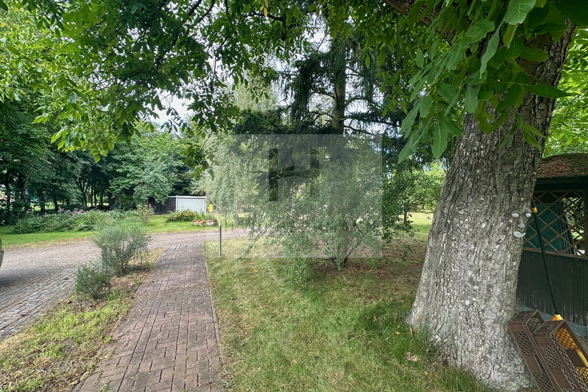 Garten mit Garage