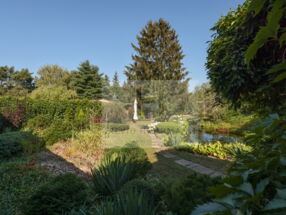 Blick in den Garten